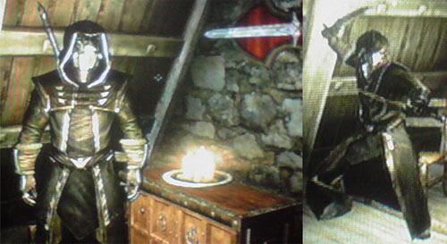 ダニーファイル スカイリム旅記